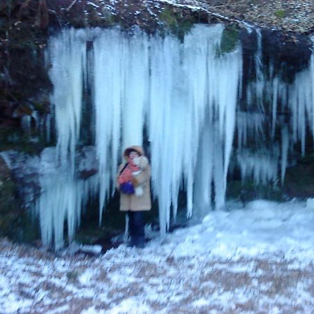 A L'Ombre De La Cascade Lägenhet Lemberg Exteriör bild