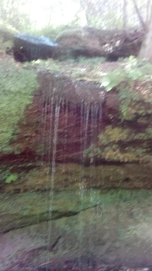A L'Ombre De La Cascade Lägenhet Lemberg Exteriör bild