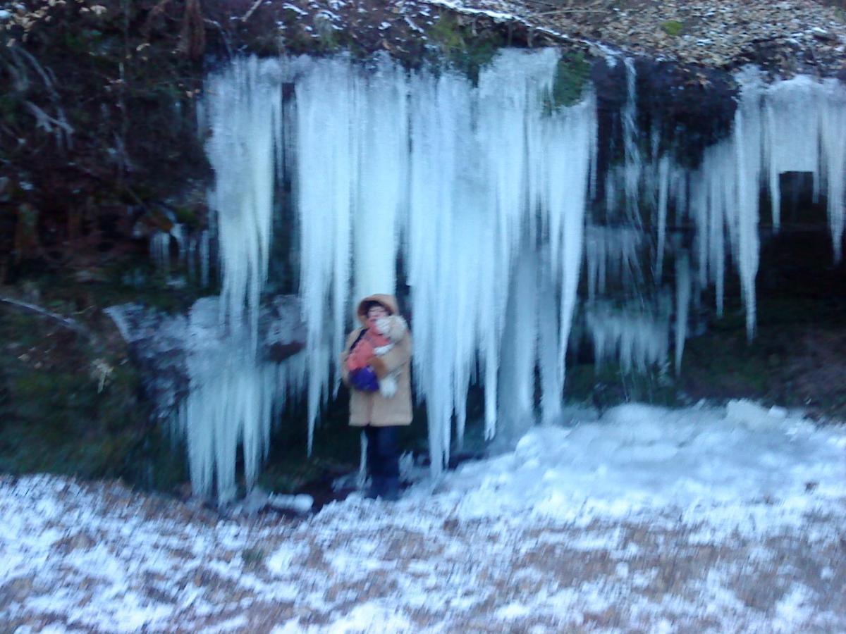 A L'Ombre De La Cascade Lägenhet Lemberg Exteriör bild